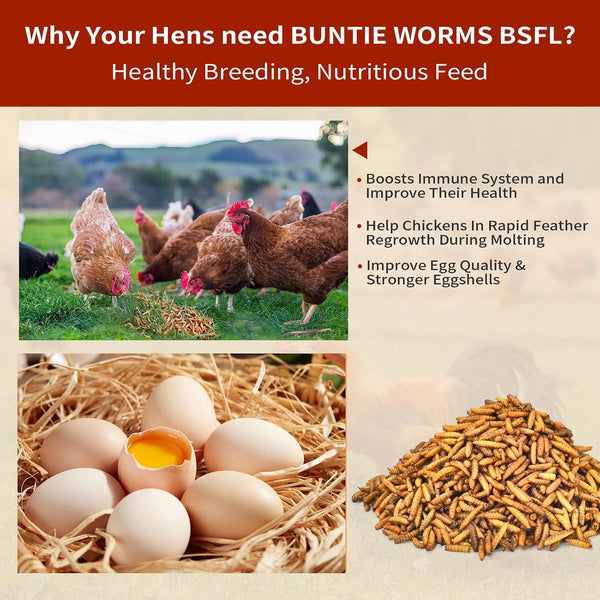 BUNTIE WORMS Dried Black Soldier Fly Larvae 5LB, High Protein Chicken Feed, 100% Natural Non-GMO – Treat for Chicken More Calcium Than Mealworms,