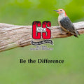 C&S Wild Bird Woodpecker Suet Nuggets Mega Box, 8 Pounds Woodpecker 8 Pound (Pack of 1)