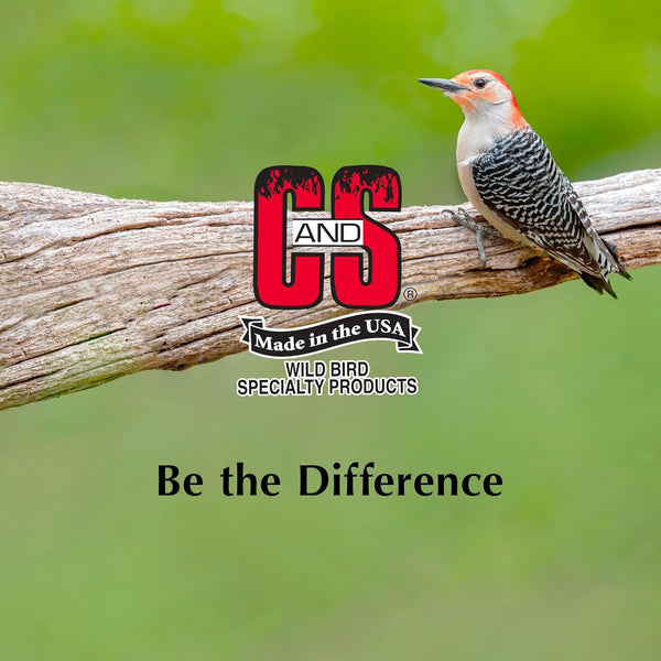 C&S Wild Bird Woodpecker Suet Nuggets Mega Box, 8 Pounds Woodpecker 8 Pound (Pack of 1)