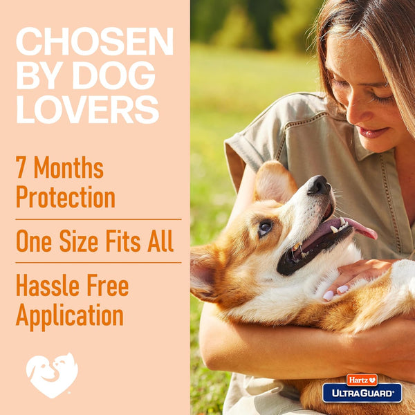 Hartz UltraGuard Flea & Tick Collar for Dogs and Puppies Up to 26 Inch Neck (Pack of 1)