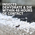 Safer Home Diatomaceous Earth 4 lb Organic OMRI DE - Cockroach Killer Indoor Home, Bed Bug Killer, Kills Fleas, Ants, Silverfish, Earwigs &