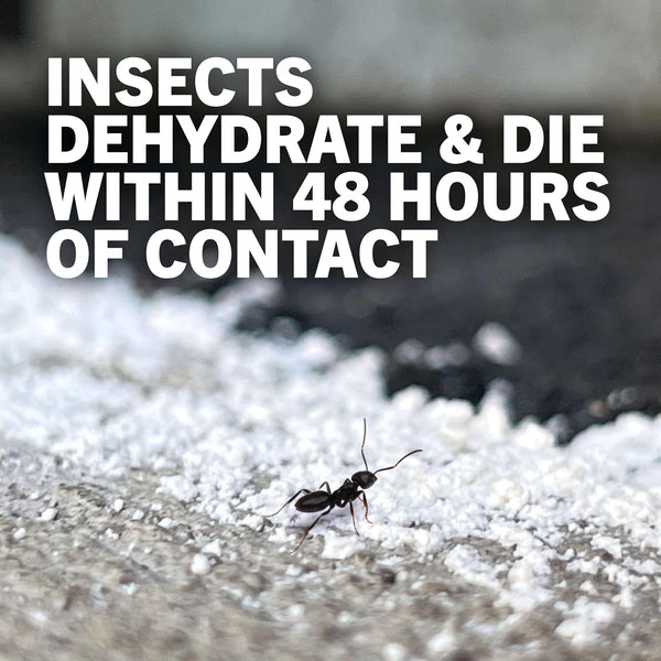 Safer Home Diatomaceous Earth 4 lb Organic OMRI DE - Cockroach Killer Indoor Home, Bed Bug Killer, Kills Fleas, Ants, Silverfish, Earwigs &