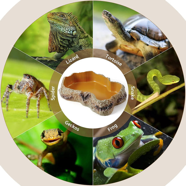 Reptile Food Water Resin Rock Bowls Lizard Gecko Worm Feeding Dish Mini | Amphibian Feeder Bowl Terrarium Decor for Bearded Dragons, Chameleon,