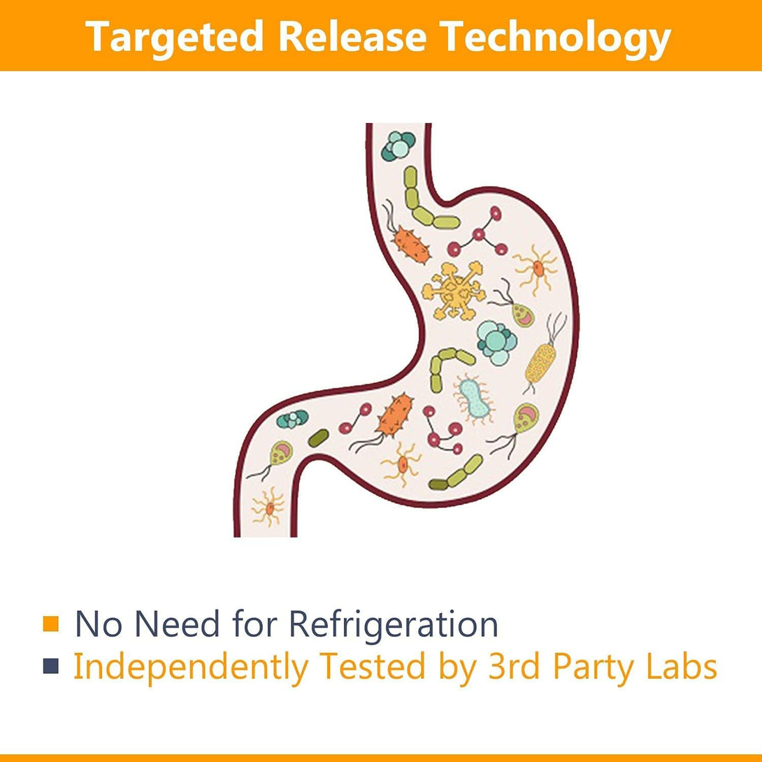 Newrhythm Probiotics 50 Billion CFU 20 Strains, 60 Veggie Capsules, Targeted Release Technology, Stomach Acid Resistant, No Need for Refrigeration, Non-Gmo, Gluten Free