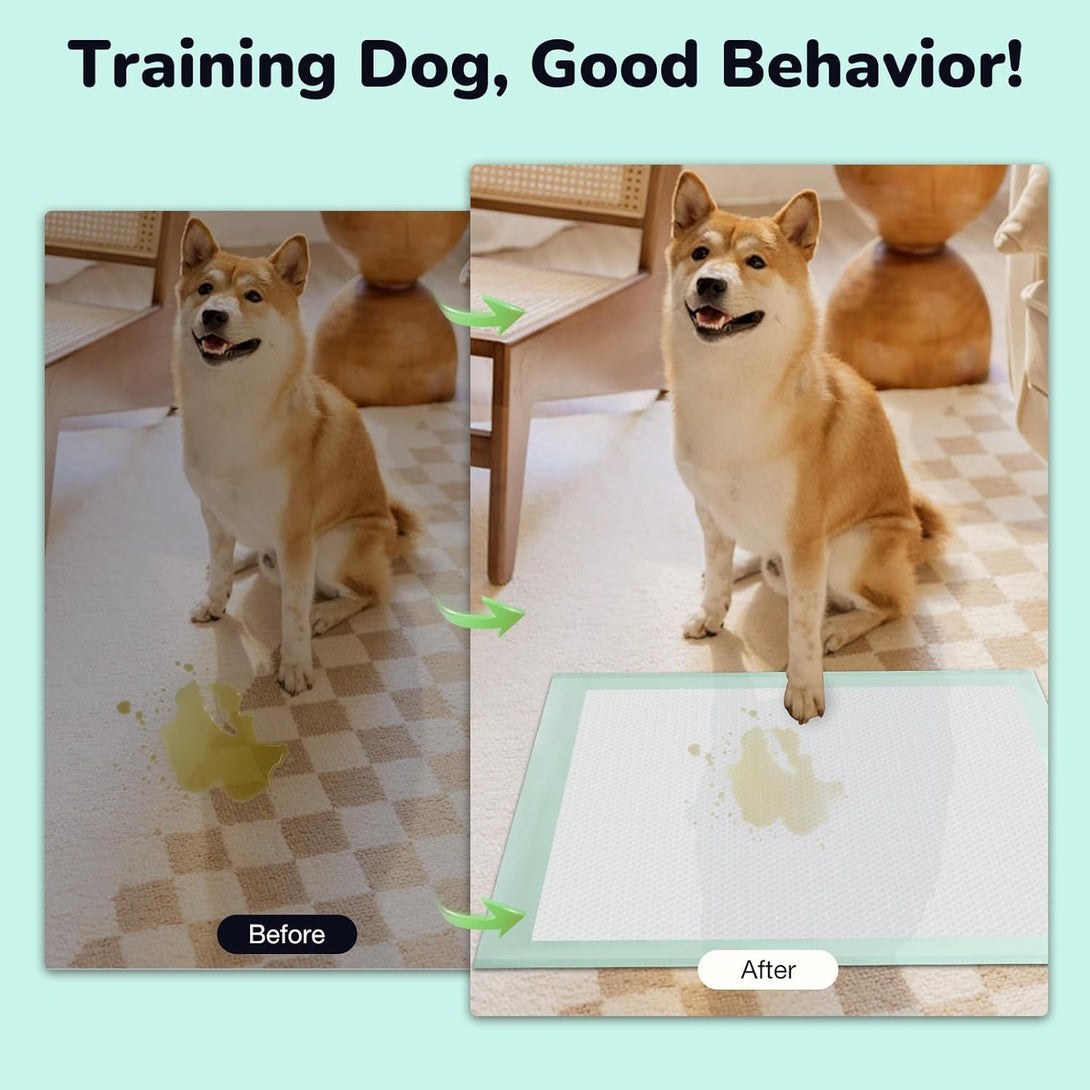 80PCS Pet Training and Puppy Pads - 24"X24" Disposable Waterproof Puppy Pee Pads - Maximum Absorption and Protection