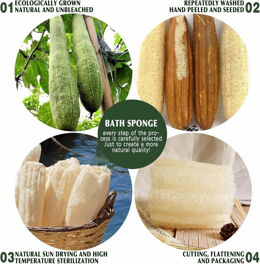 Natural Shower Loofah Sponge, Bath Exfoliating Loofa Body Scrubber, 5.5 “Soft and Easy Foaming Spa Lufa Sponges (3 Pack)