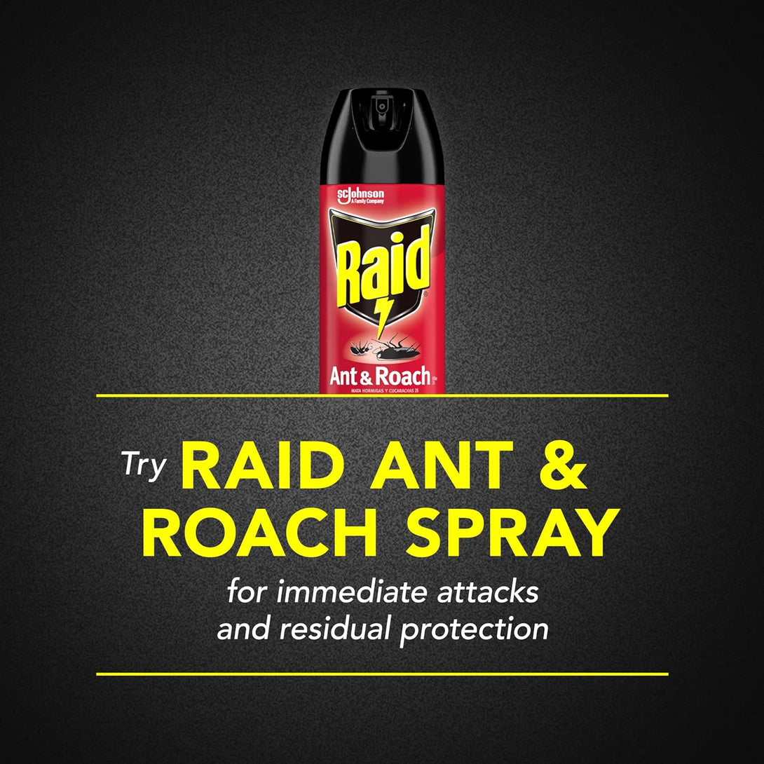 Raid® Ant & Roach Killer Spray, Fragrance-Free, 17.5 Oz, Pack of 2