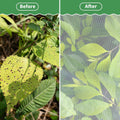 Garden Mesh Netting with Drawstring,Plants Cover Protection from anti Birds,Bugs,Cicadas,And Insects-Pest Barrier Bag for Blueberry