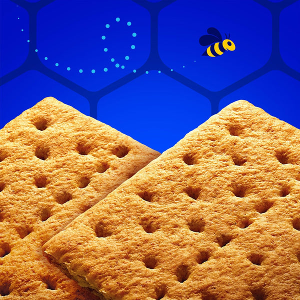 HONEY MAID Graham Crackers, Lunch Snacks, Party Size, 28.8 oz 28.8 Ounce (Pack of 1)