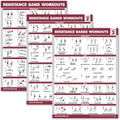 Palace Learning 4 Pack - Resistance Bands Workout Exercise Posters Volume 1, 2 & 3 + Resistance Loops Fitness Chart (LAMINATED, 18" x 24") 18" x