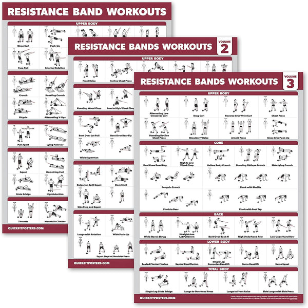 Palace Learning 4 Pack - Resistance Bands Workout Exercise Posters Volume 1, 2 & 3 + Resistance Loops Fitness Chart (LAMINATED, 18" x 24") 18" x