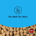 C&S Wild Bird Woodpecker Suet Nuggets Mega Box, 8 Pounds Woodpecker 8 Pound (Pack of 1)