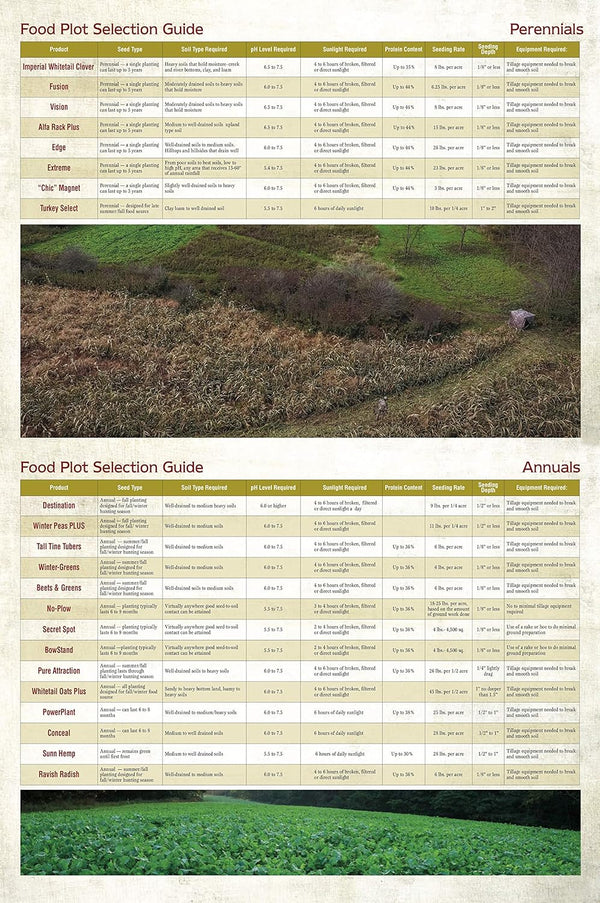 Whitetail Institute FUSION Deer Food Plot Seed for Spring or Fall Planting, Blend of Clover and Chicory for Maximum Deer Attraction, Heat, Cold