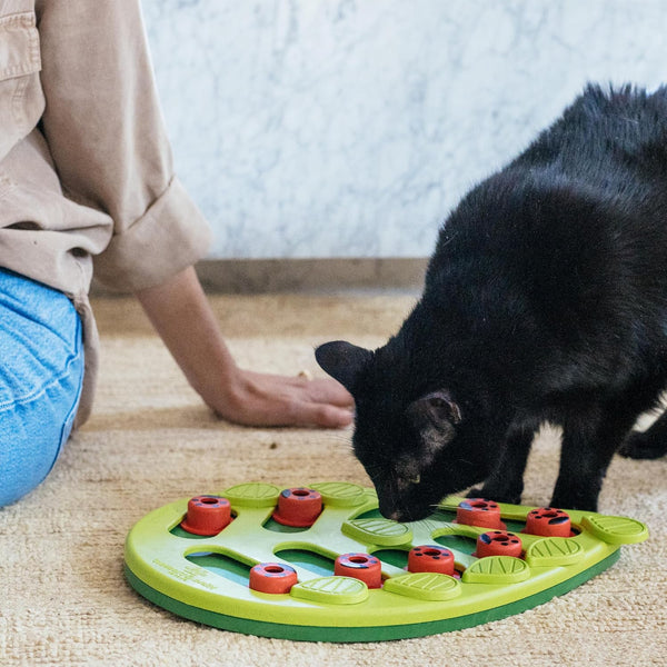 Catstages Nina Ottosson Buggin’ Out Puzzle & Play Cat Puzzle Feeder – Interactive Treat Game for Indoor Cats, Level 2 Slow Feeder Enrichment Toy,