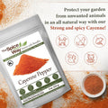 The Spice Way Red Pepper Premium Cayenne Ground - 8 Oz - Pure Chile Powder - Cayenne Powder, No Gmo'S, Kosher Certified