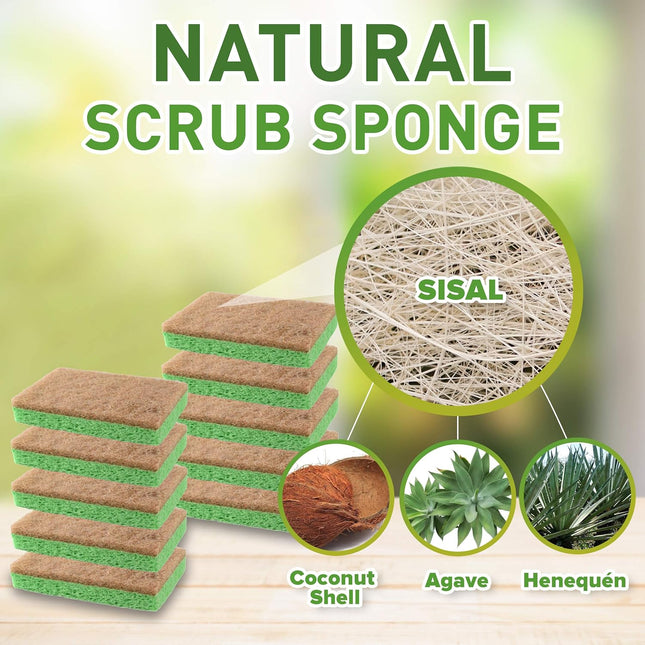 SCRUBIT 24 Pack Natural Sponges - Biodegradable Compostable Cellulose and Coconu