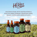 Herbs Etc. Deep Sleep Softgels - Holistic Rest Supplement for Restful Sleep - Chamomile, Lemon Balm Extract & Passionflower - Melatonin-Free,