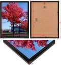 12x16 Picture Frame,Studio Gallery Schools Colleges Sign Frame, 1 Pack 1P Black 12x16
