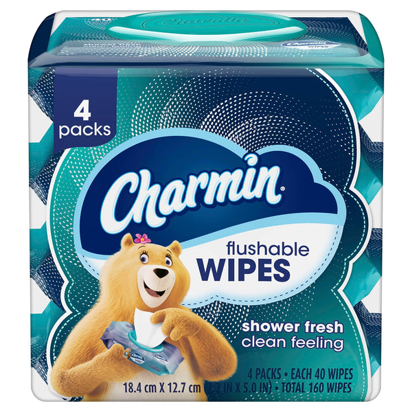 Charmin Flushable Wipes, 160 Total Wipes (4 Packs of 40) 40 Count (Pack of 4)