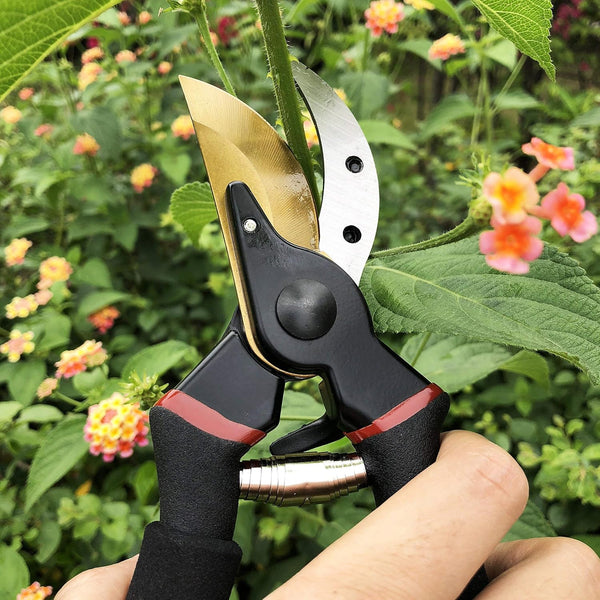 gonicc 8" Professional Premium Bypass Titanium Pruning Shears(GPPS-1003) | Titanium coated SK5 steel blade, Ergonomic non-slip handle, Sap groove