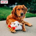 Multipet Lamb Chop Dog Plush Toy - Squeaky Toy for Small & Medium Dogs - Extra Soft Plush - Stuffed Animal for Cuddling & Playing (10", Cream, 5