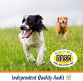 ProSense Hip and Joint Solutions 60 Count, for Dogs, Advanced Strength Glucosamine Chews