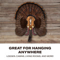 Ultimate Turkey Plaque by Illusion | Turkey Mounting Kit | Rustic Wall Mount Display Plaque | European Turkey Skull Included | Turkey Beard, Fan,