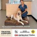 Bedsure Orthopedic Dog Bed Medium Size Dogs - Washable Small Medium Dog Cat Bed Waterproof, Comfort Cats Couch Sofa with Washable Removable Cover,