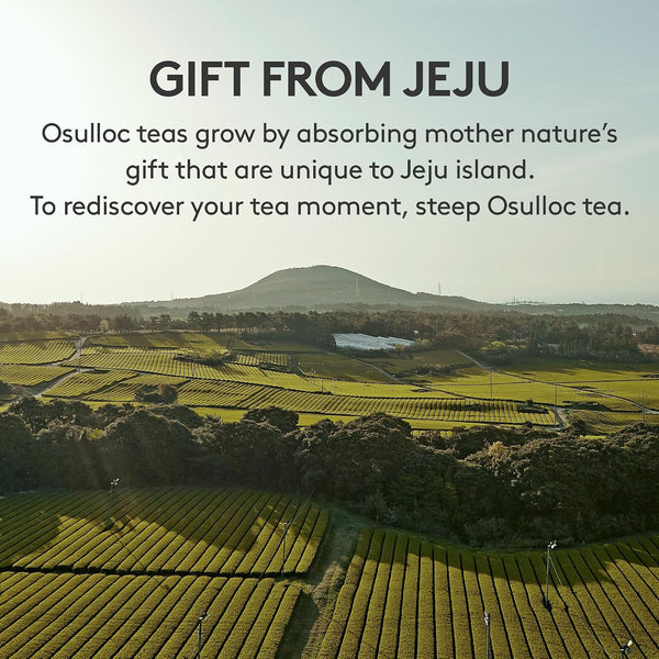 OSULLOC Premium Tea Collection (40 Count, 10 Flavors X 4 Ea), Assorted Tea Bag Sampler, Premium Organic Pure & Blended Self Care Gift Set Box from