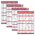 Palace Learning 4 Pack - Resistance Bands Workout Exercise Posters Volume 1, 2 & 3 + Resistance Loops Fitness Chart (LAMINATED, 18" x 24") 18" x