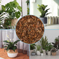 100% Natural Pine Bark Mulch Nuggets (8 Quarts), Small Mulch Chips for Indoor/Outdoor Container Gardening, Ideal for Soil Supplement, Houseplant