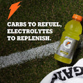 Gatorade Thirst Quencher, Fierce Grape, 20 Fl Oz (Pack of 8) Grape 20 Fl Oz (Pack of 8)