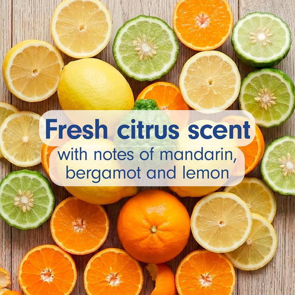 Softsoap Antibacterial Liquid Hand Soap, Fresh Citrus Scent, 11.25 fl oz (6 Pack) Fresh Citrus 11.25 Fl Oz (Pack of 6)
