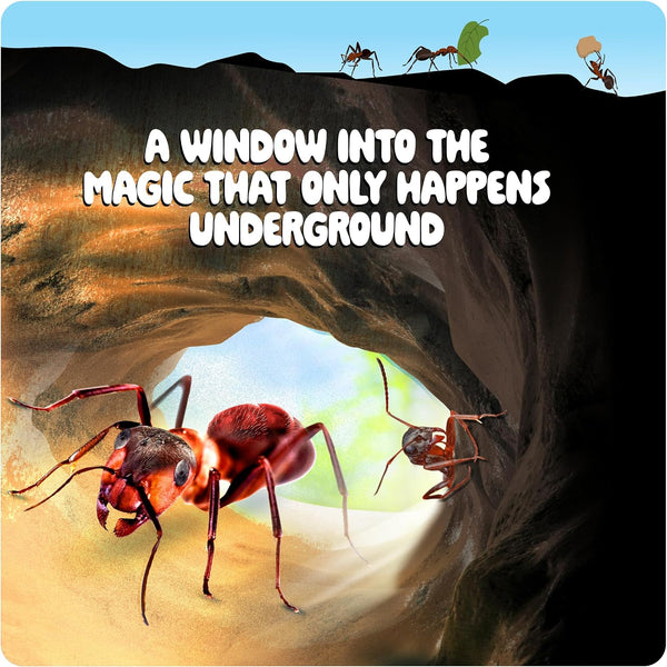 Dan&Darci Ant Farm Kit for Kids - Farms Colony - Includes Ants Voucher - Sand Habitat Kits - Bug Terrarium House - Educational Science Gifts for