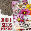 Seed Needs Flower Seeds Cosmos Original Crazy Blend 10+ Varieties Bulk Pack Medium Pack Crazy Cosmos Mix
