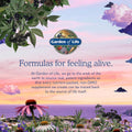 Garden of Life Vitamin Code Healthy Blood - Iron Supplement for Women, 60 Vegan Capsules, with Vitamins B, C, Trace Minerals, Fruit Veggies,