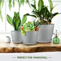 Utopia Home - Plant Pots Indoor with Drainage - 7/6.6/6/5.3/4.8 Inches Flower Pots for Indoor Planter - 5 Pack Plastic Planters - Ideal for