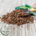100% Natural Pine Bark Mulch Nuggets (8 Quarts), Small Mulch Chips for Indoor/Outdoor Container Gardening, Ideal for Soil Supplement, Houseplant