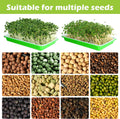 EBaokuup 5 Pcs Seed Sprouter Tray with Drain Holes - BPA Free Seed Germination Propagation Trays, Soil-Free Wheatgrass Bean Sprouts Microgreens