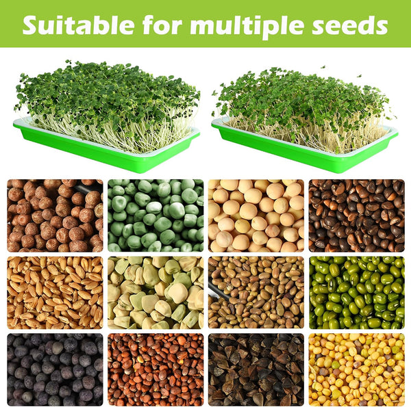 EBaokuup 5 Pcs Seed Sprouter Tray with Drain Holes - BPA Free Seed Germination Propagation Trays, Soil-Free Wheatgrass Bean Sprouts Microgreens