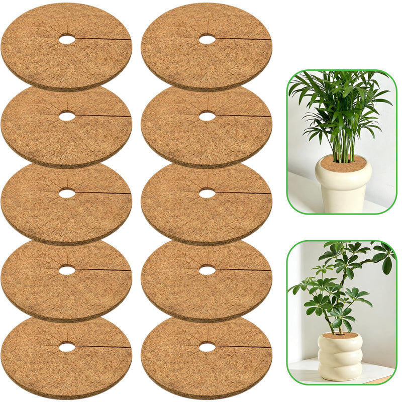 Zeedix 10 Pcs Coconut Fibers Mulch Ring Tree Protector Mat, 5.9 Inch Coco Coir Tree Protection, Tree Ring Mats Tree Disc Plant Cover for Indoor or