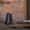 CAP A-Frame Dumbbell Weight Rack holds 5-25lb