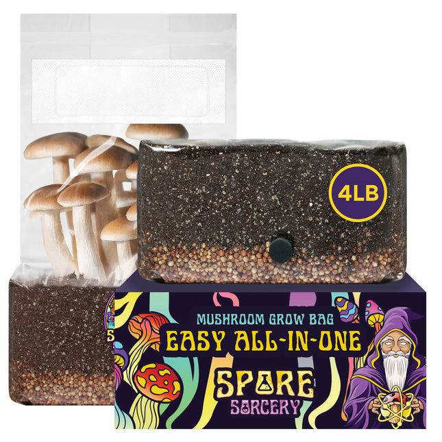 4 LB All-In-One Grow Kit: up to 64Oz of Mushrooms! Nutrient-Enhanced, Injection Port, Just Add Your Own Spores & Grow li
