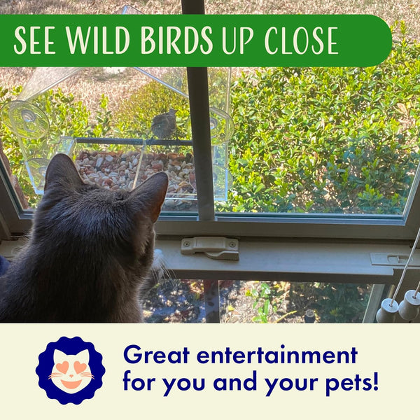 Window Bird Feeder with Strong Suction Cups, Clear Window Feeders for Outside - Transparent Bird House, Balcony Glass Mount, Acrylic Cat, Kids &