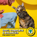 Temptations Classic Crunchy Cat Treats, Shrimpy Shrimp, 6.3 oz Shrimp 3.94 Pound (Pack of 1)