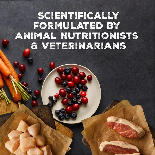 Blue Buffalo Wilderness Paté Variety Pack (Chicken, Salmon, and Duck) Adult Wet Cat Food, High-Protein & Grain-Free Recipes Enhanced with
