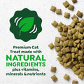 Greenies Feline Smartbites Skin & Fur Health Cat Treats, Salmon, 2.1 oz | Fish oil & flaxseed, omega-3 fatty acids, no artificial flavors or