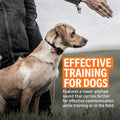 Sportdog Brand Roy Gonia Special Whistle - Hunting Dog Whistle with Easy-To-Blow Design - for Training or Field Use - Lower-Pitched Sound