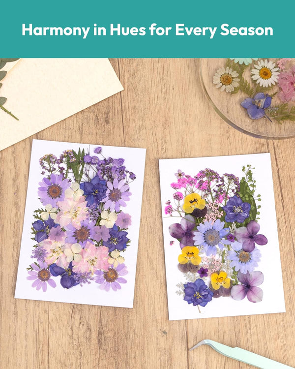 Dried Flowers, Resiners 58Pcs Pressed Flowers for Craft Purple Real Natural Dried Flowers Dry Leaves Kit for DIY Making Crafts Resin Soap Candle