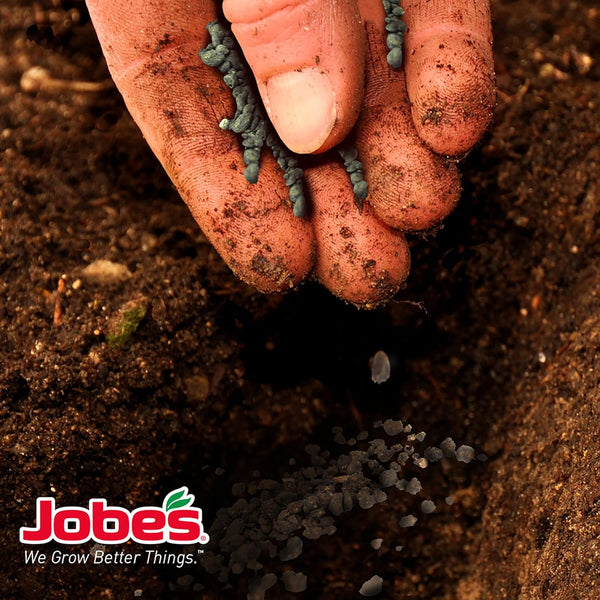 JobeÃ¢ÂÂS Organics Granular Fertilizer, Organic Fertilizer for Palm Trees and Plants, 4 Lbs Bag